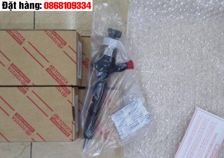 Kim phun fortuner 